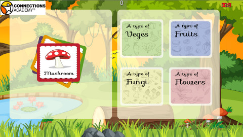 Educational Theme